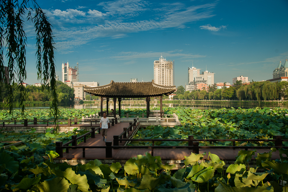 启秀园荷花2015072935 mm1-125 秒 (