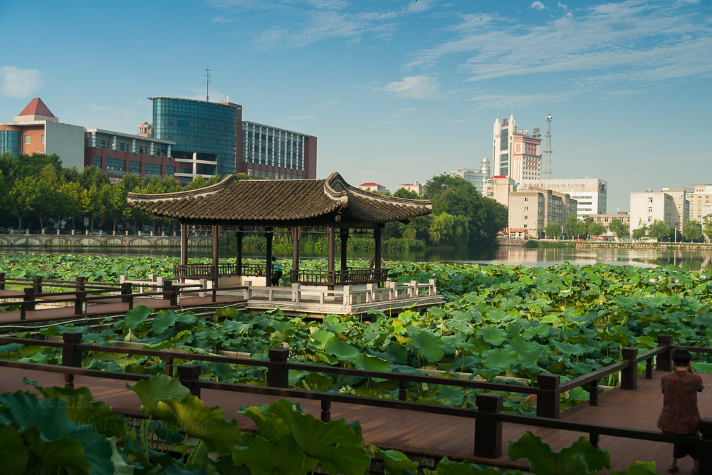 启秀园荷花2015072945 mm1-125 秒 (