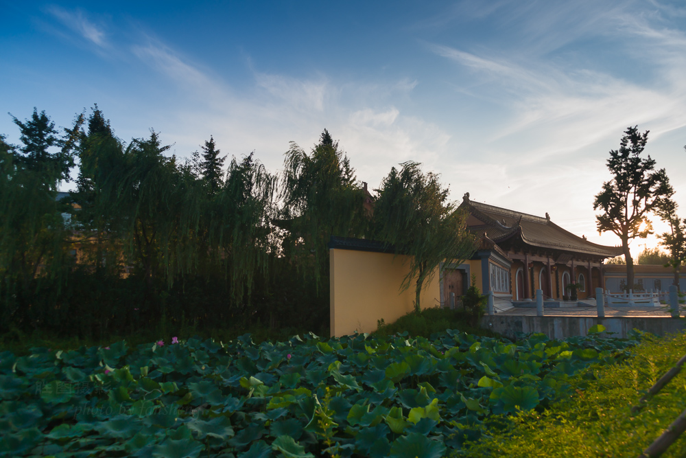 普贤禅寺荷花20151-200 秒 (f - 5.0)ISO 10024 mm.JPG