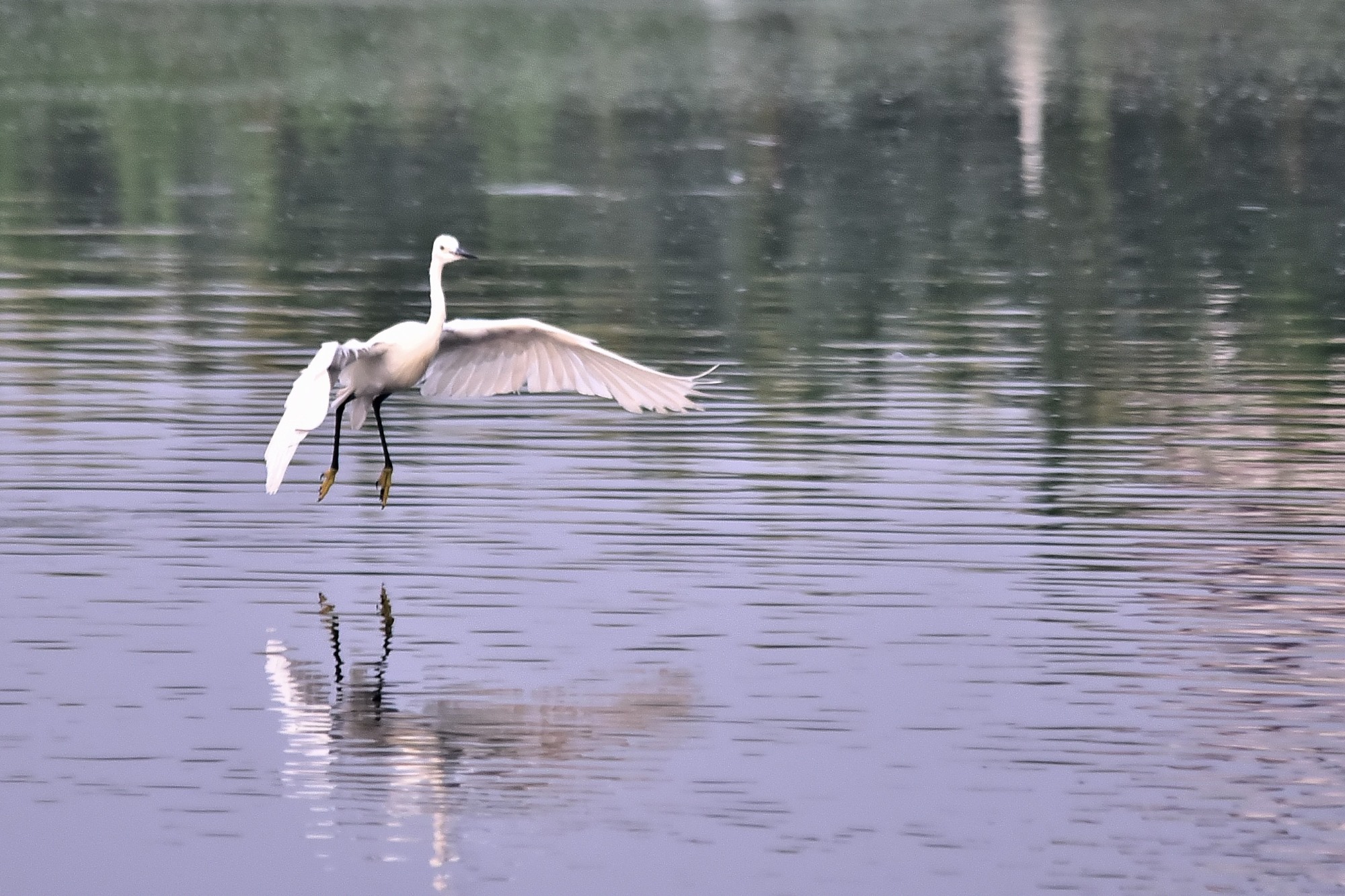 DSC_5064 - 副本.JPG