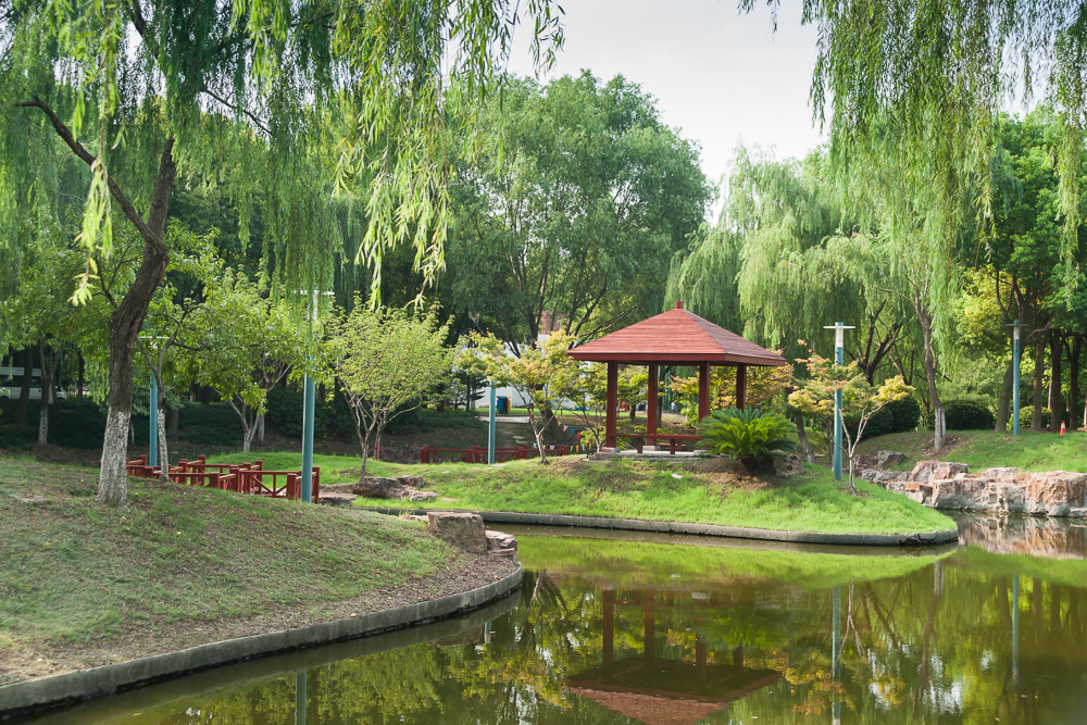 中央公园11-40 秒 (f - 6 (3).jpg