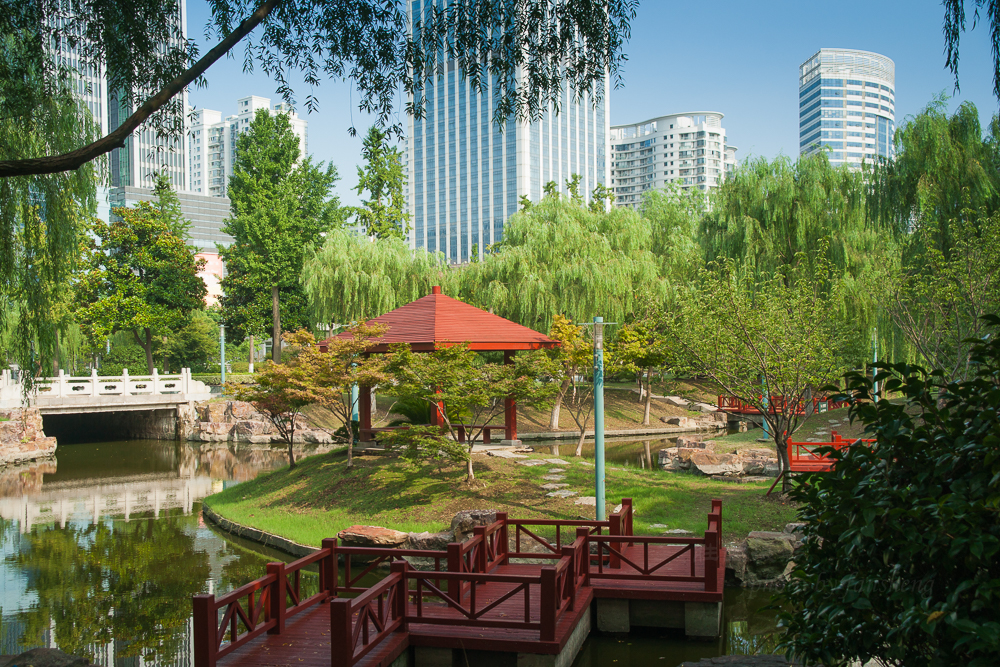 中央公园11-40 秒 (f - 6 (5).jpg