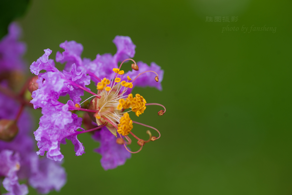 11-20 秒 (f - 5.6).jpg