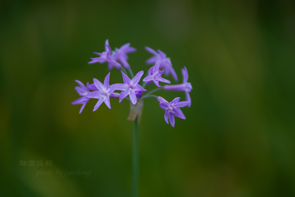 博物苑随拍11-160 秒 (f - 3.2).jpg
