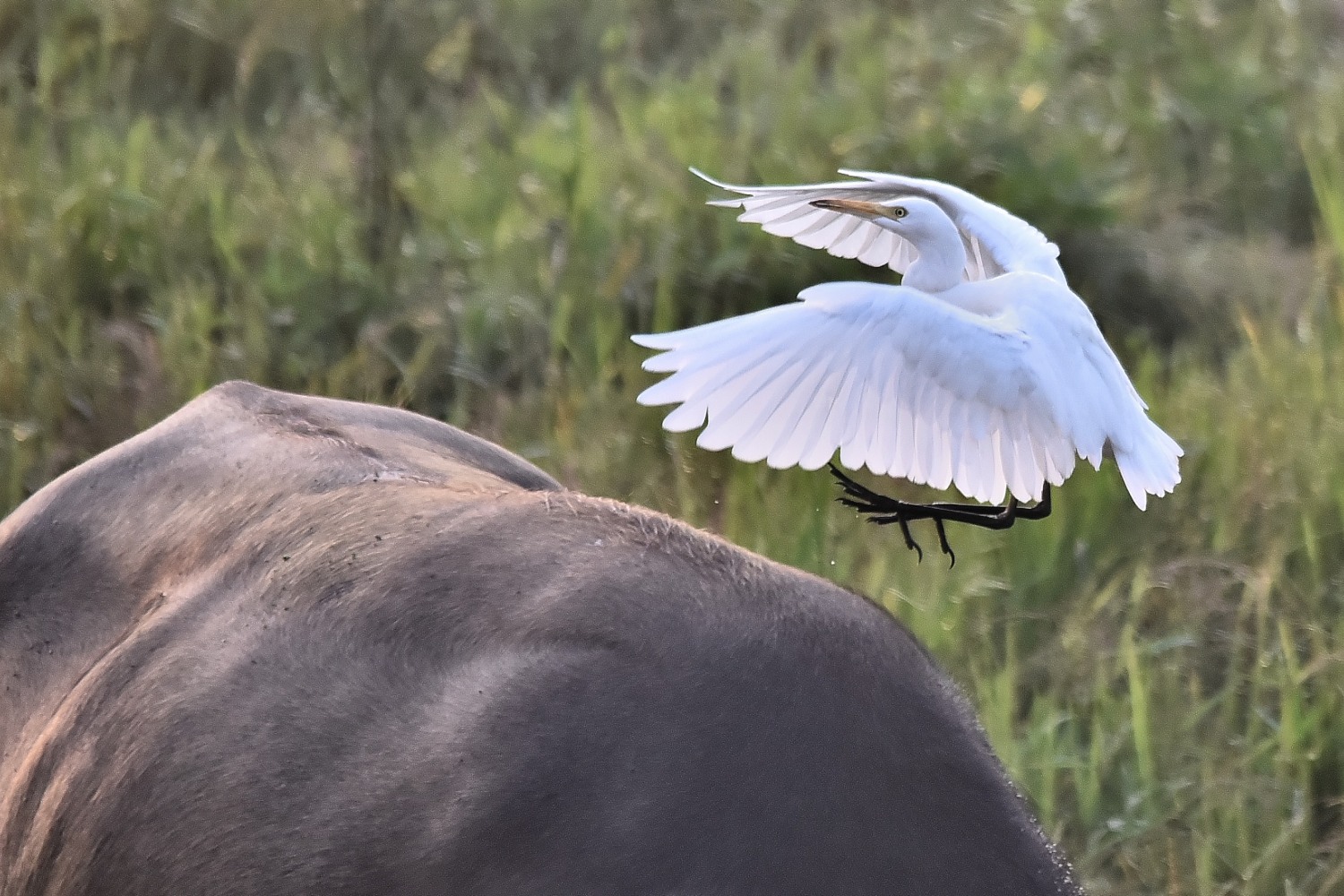 DSC_8283 - 副本.JPG