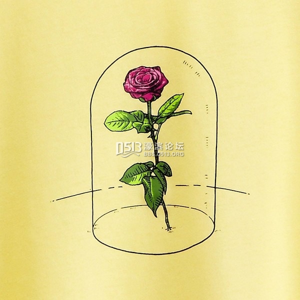 《小王子》今年7月全面进入公有领域？在家乡法国还没有