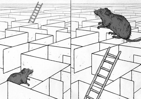 国际思想周报｜美国大学的奇特“文字狱”