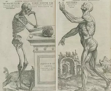 中西医之争可以稍息了：道不同也可相为谋