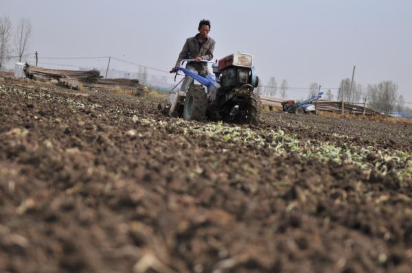 中国农地制度需要全盘推倒么：其实是中国奇迹的幕后英雄