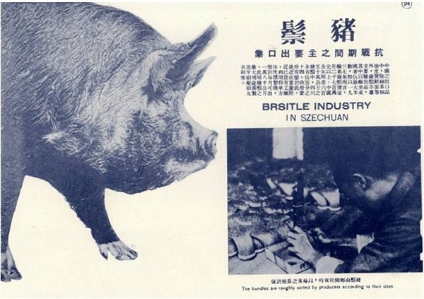 访谈︱赵国壮：井盐、猪鬃、蚕丝……大后方用特产支援抗战