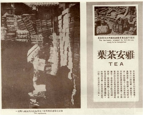 访谈︱赵国壮：井盐、猪鬃、蚕丝……大后方用特产支援抗战