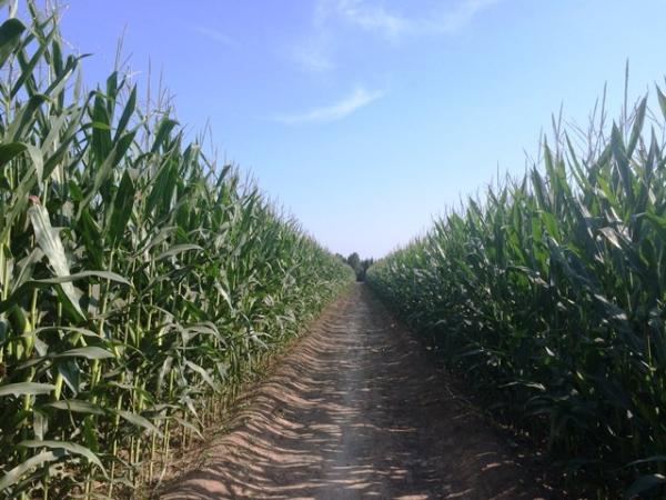 寻找寇准：宋朝宰相如何跃龙门