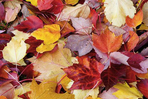 孩子为啥害怕这些？挠破头你都想不明白