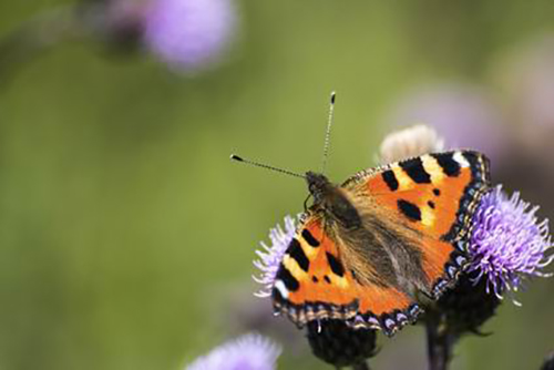 孩子为啥害怕这些？挠破头你都想不明白