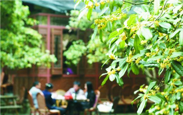 中秋是个年轻的节日？民俗学家告诉你“团圆节”从何而来