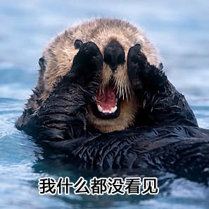 澎湃联播|寻找霸气网红叶良辰