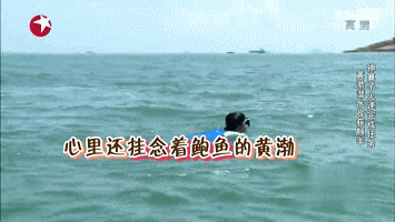 读图｜扒一扒明星中的“体育健将”