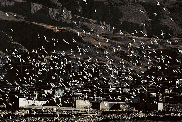 眼光|自动过滤掉暴力和色情的镜头，一样能拍出绝顶好照片