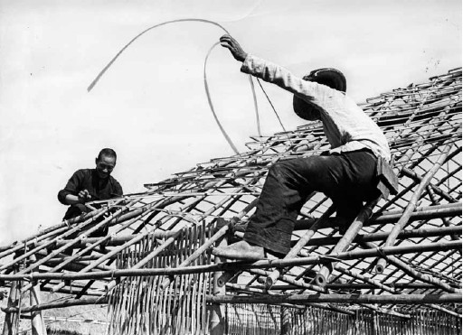 读图︱抗战大后方的面孔：从逃生列车上跌落的女童