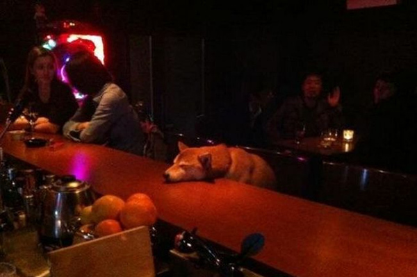 澎湃联播|找一个能爱的人好难