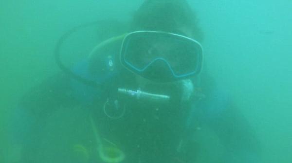 每日一词：金币奇遇