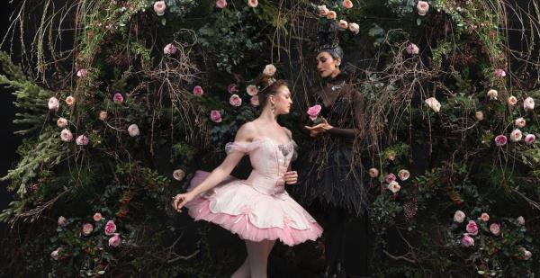 我们在景区摩肩擦踵，世界五大芭蕾舞团正在网上接力演出