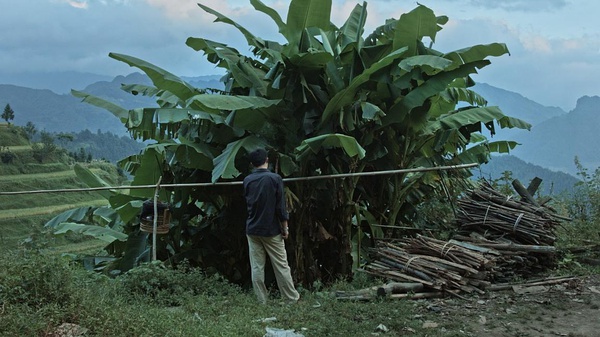 《路边野餐》角逐金马奖，26岁毕赣提名最佳新导演