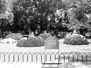 北海公园竹子被刻