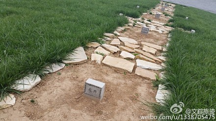 陕西上官婉儿墓回填，建遗址公园