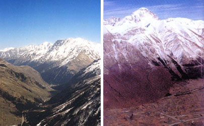 中微子振荡小史：美苏和日本两组科学家盲人摸象的20世纪