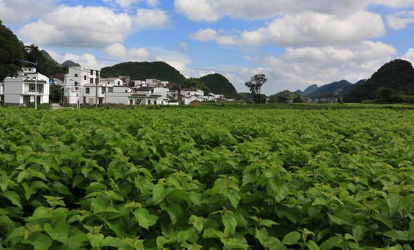 访谈 | 李玉尚：1949年之后新政权如何应对寄生虫病