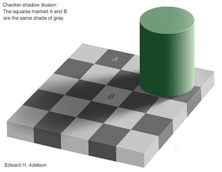 世界因脑而不同