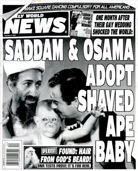 大胸围有大智慧？