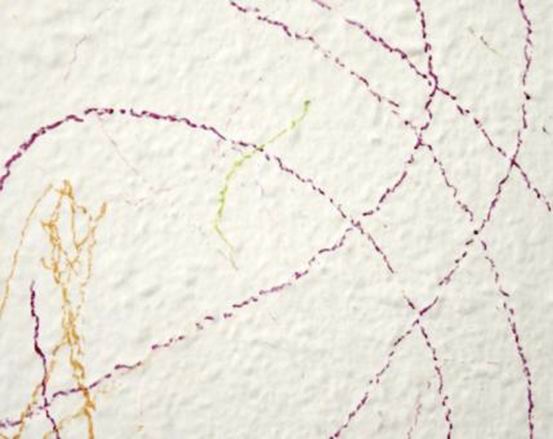 终于要上学了！清理家中的“烂摊子”，这10招超实用