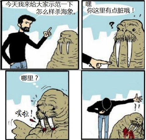 别把海象和海豹不当北极特色