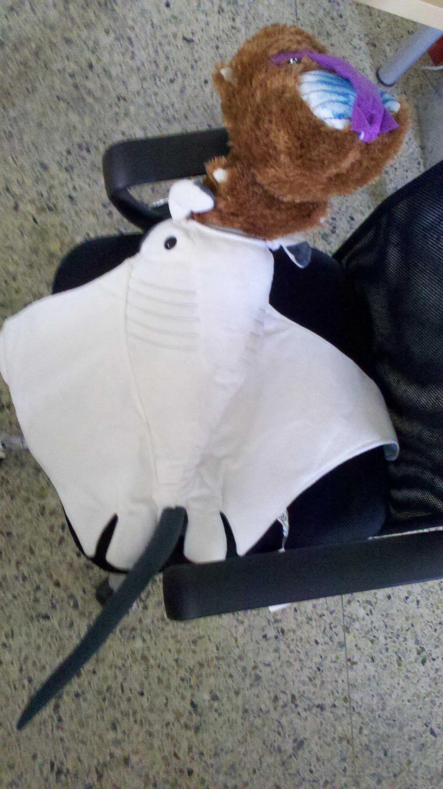 自制鲨鱼装：体验鲨口余生