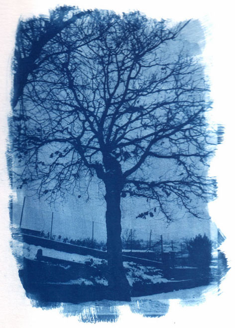 该图片来自互联网