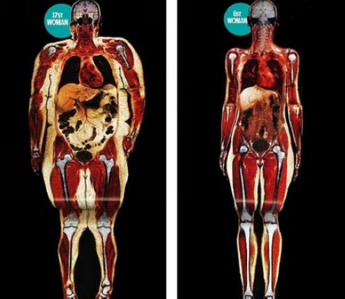 crossfitbalboa.com。