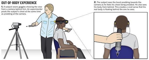 艾瑞森“灵魂出窍” 幻象实验示意图，via nature.com