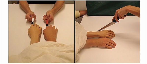 “手幻象” 实验，via technabob.com