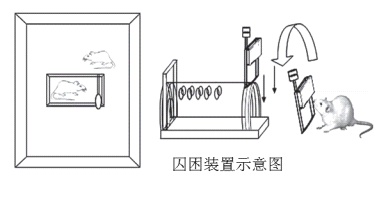图1,实验场所示意图。来自：www.sciencemag.org SCIENCE VOL 334 9 DECEMBER 2011。
