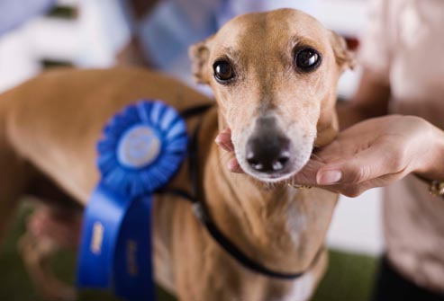 图片：webmd.com。