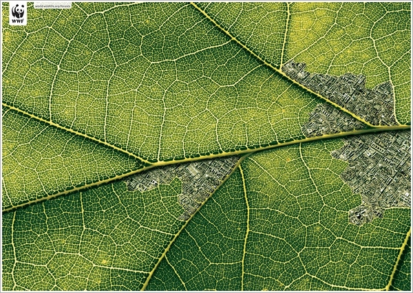 城市化，不应是对自然的侵蚀