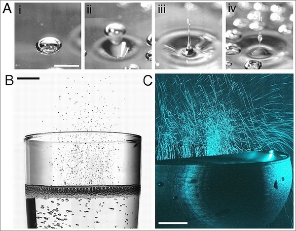 （A）高速摄影拍摄下的单个香槟气泡从释放到崩裂成碎片的过程；（B）香槟酒和空气交界处，香槟泡沫弹出数以百计的微小液滴，喷流滴以每秒几米的速度抛射到液面之上几厘米的地方；（C）激光断层扫描观测到的香槟气溶胶分布（亮蓝色部分），也就是芳香化合物的分布。可以看到，残留在杯壁上的气溶胶比空气里的更多，这就是泡沫上带有芳香化合物的证明。（图片：pans.org）