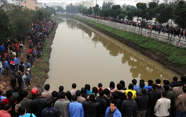 3月12号，中华白海豚“老白”误入佛山内河，引来当地大批村民围观的盛况。 图:腾讯网