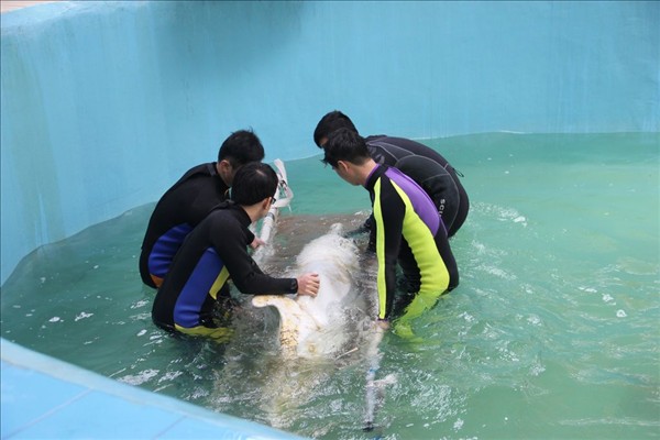 救助人员把老白扶上担架，准备进行体检