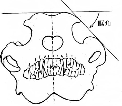 当狼和宠物狗品种长相相似时，确切的区分其实只有一个：根据它们的眶角差异来判断。