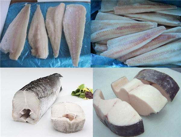 鱼类里有鳕形目，鳕形目里有鳕科，鳕科里有鳕属。虽然很多食物都叫“鳕鱼”，但实则各有独特血统，比如图中的这四种“鳕鱼”切片。图片从上到下，从左至右分别为太平洋鳕鱼，狭鳕，无须鳕，以及“油鱼”。