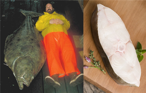 我们见到的大部分“冰岛鳕鱼”，实际上就是产自太平洋的狭鳞庸鲽。这种体型巨大的比目鱼，在市面上所能见到的切片是侧扁的。