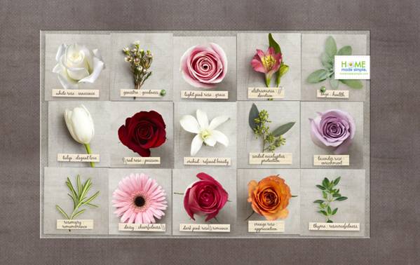 图片来自 natureisnurture.net